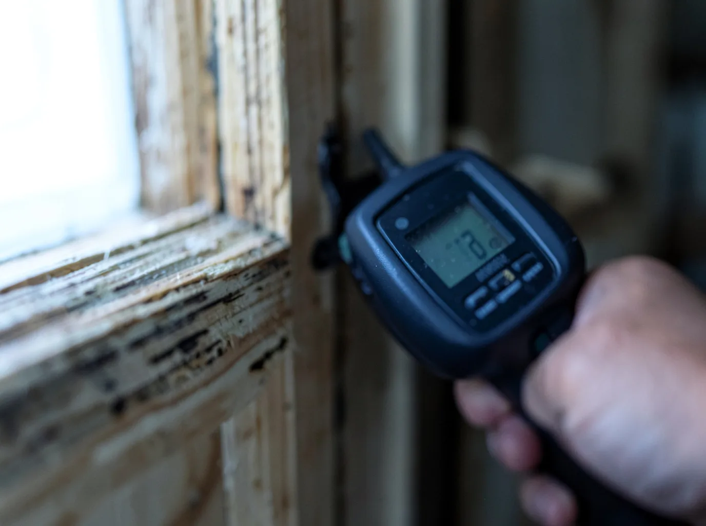 Moisture Inspection And Documentation in West Chesterfield, MA